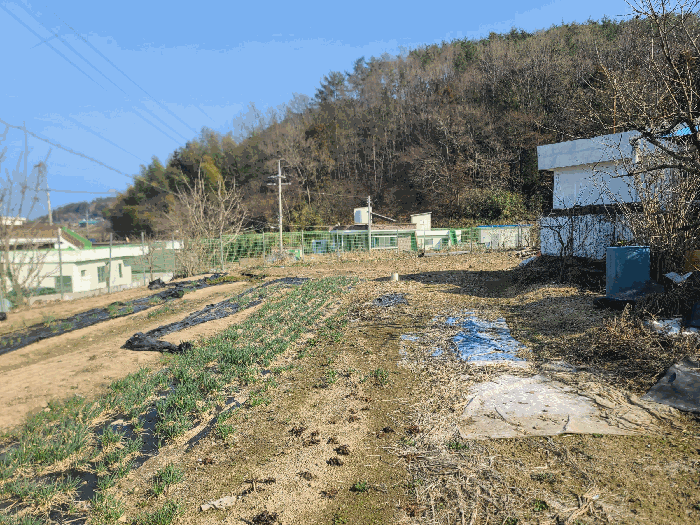2025타경21039 사진