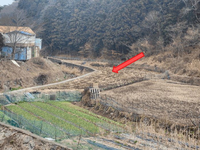 2025타경21049 사진
