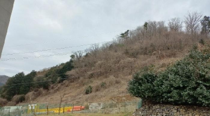 2025타경21060 사진