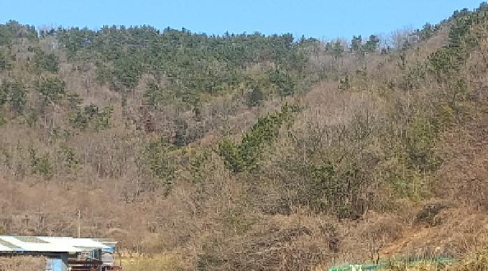 2025타경21068 사진