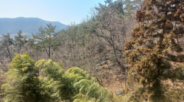 2025타경21068 사진