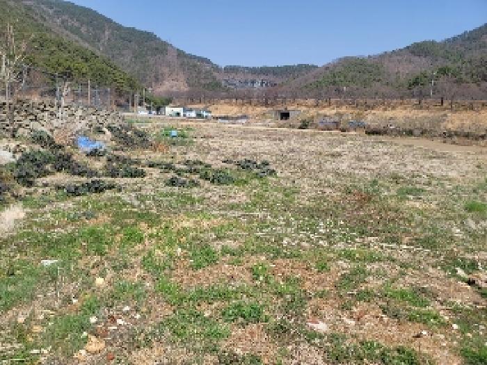 2025타경21069 사진