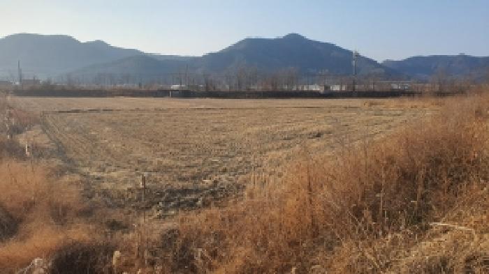 2025타경21087 사진