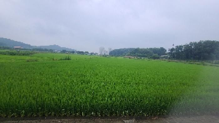 2025타경21096 사진