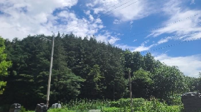 2025타경21096 사진