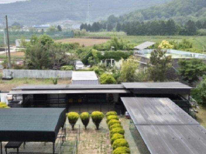 2025타경21305 사진