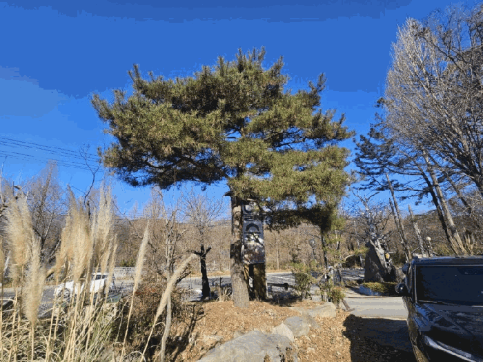 2025타경21456 사진
