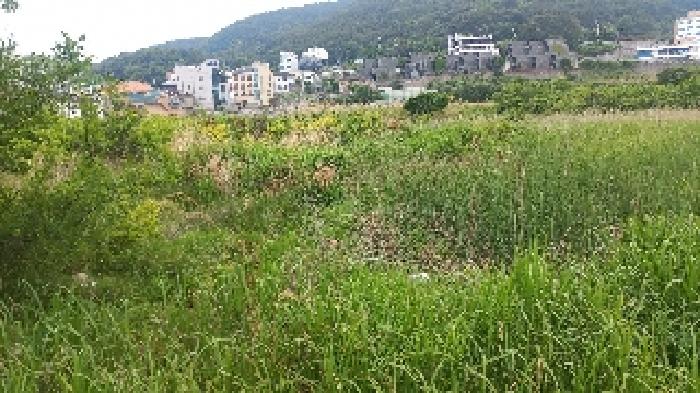 2025타경21513 사진