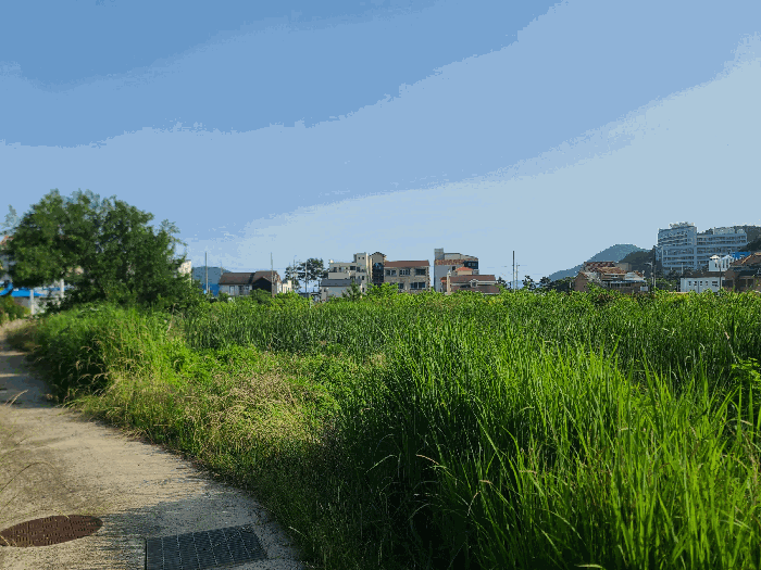 2025타경21513 사진