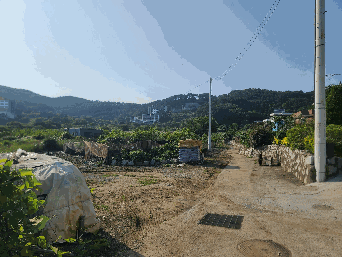 2025타경21513 사진