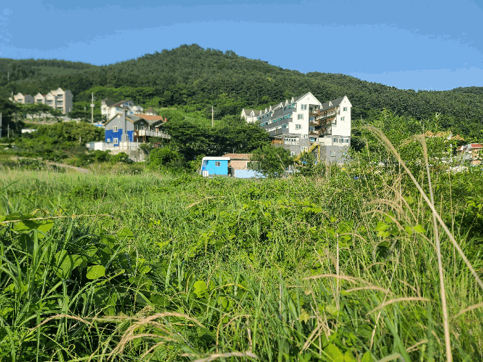 2025타경21513 사진