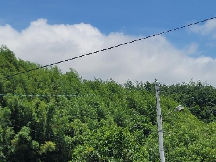 2025타경21528 사진