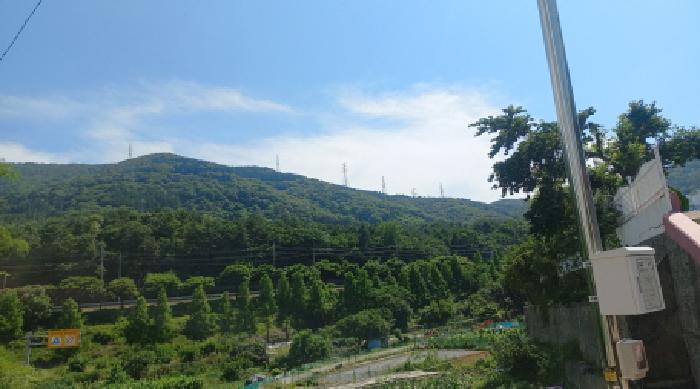 2025타경21529 사진