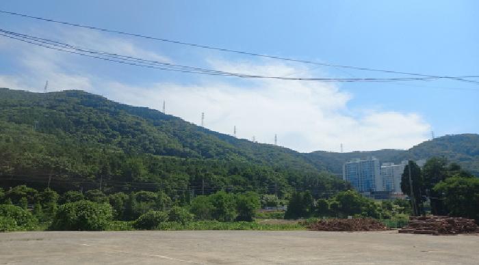 2025타경21529 사진