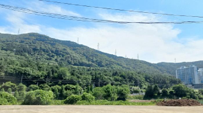 2025타경21529 사진