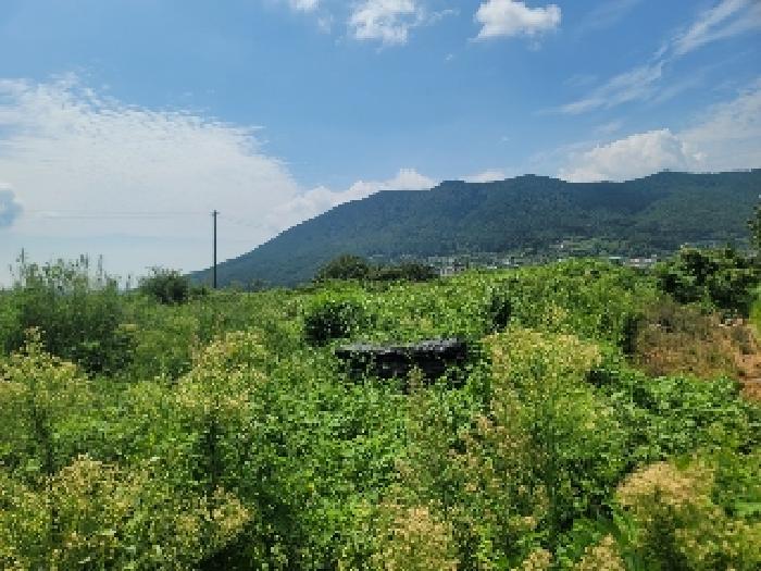 2025타경21666 사진