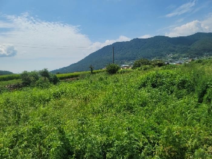 2025타경21666 사진