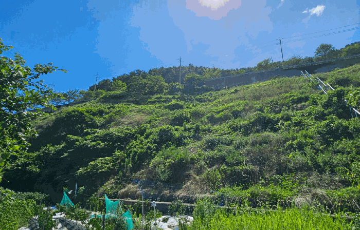 2025타경21702 사진