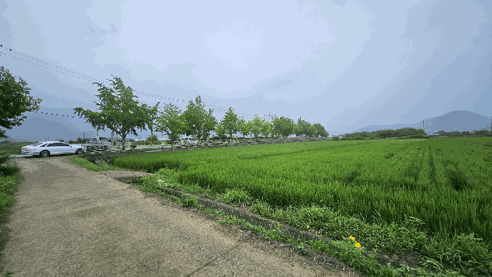 2025타경21724 사진