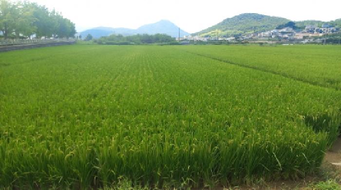 2025타경21724 사진
