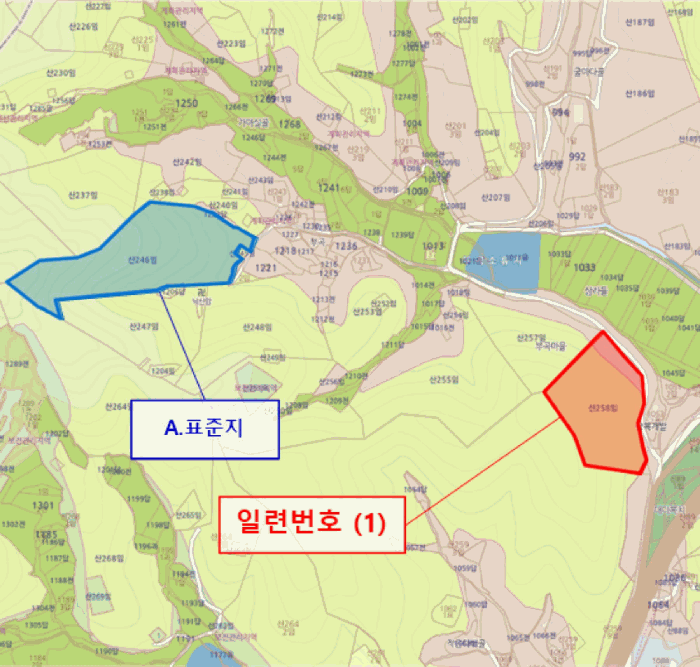 2025타경21795 사진