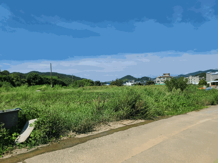 2025타경21813 사진