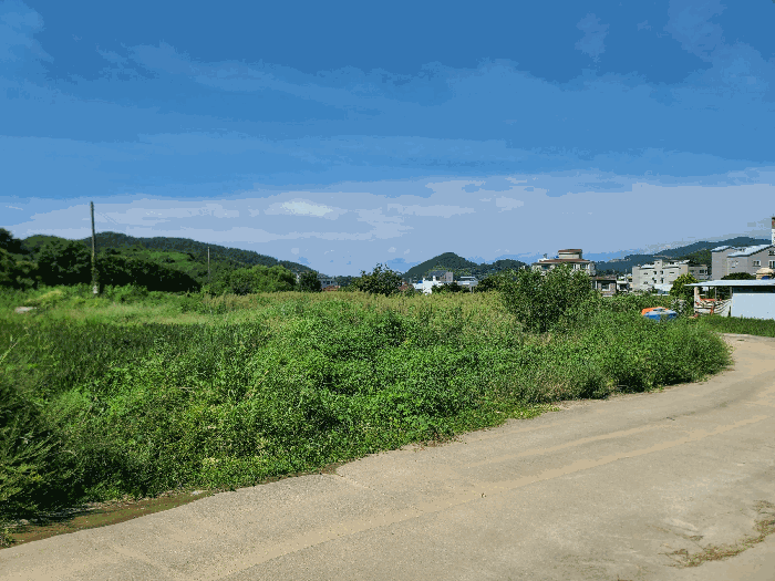 2025타경21813 사진