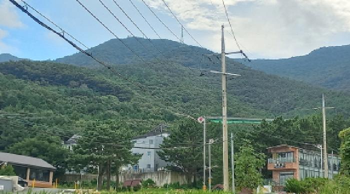2025타경21817 사진