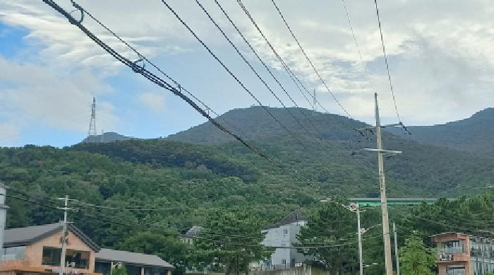 2025타경21817 사진