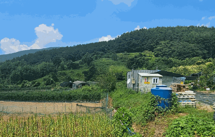 2025타경21833 사진