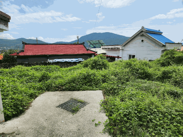 2025타경21919 사진