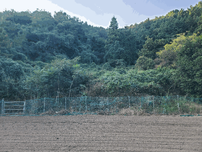 2025타경21932 사진