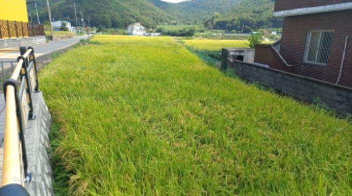 2025타경21997 사진