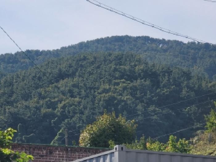 2025타경22005 사진