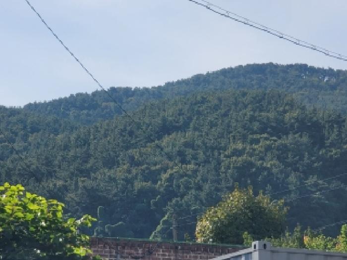 2025타경22005 사진
