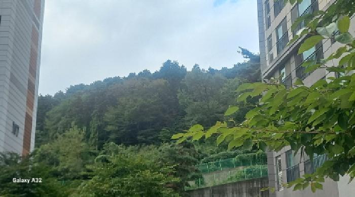 2025타경22048 사진