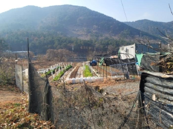 2025타경22144 사진