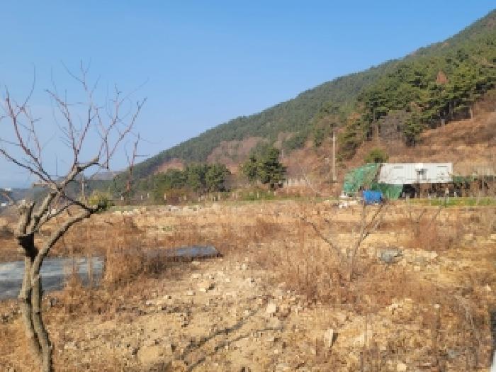2025타경22144 사진