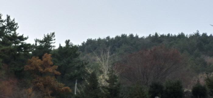 2025타경22175 사진