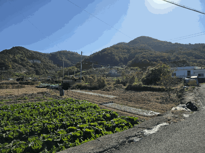 2025타경22192 사진