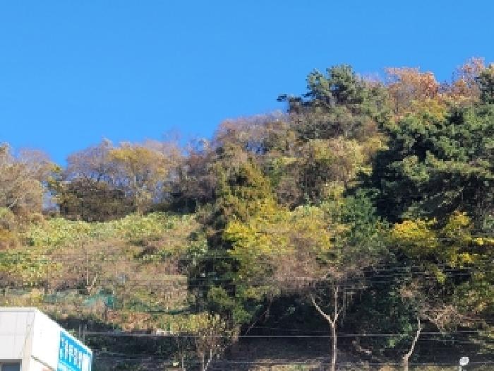 2025타경22206 사진