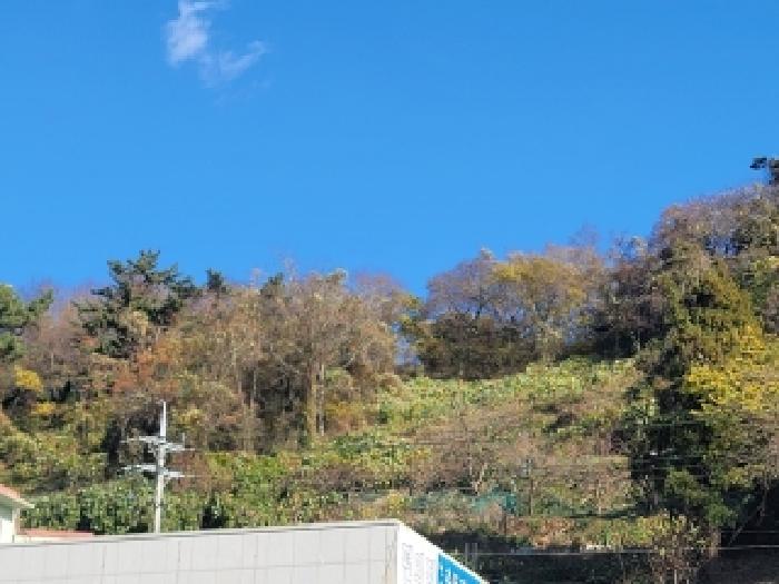 2025타경22206 사진