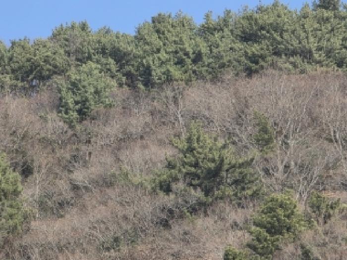 2025타경22214 사진