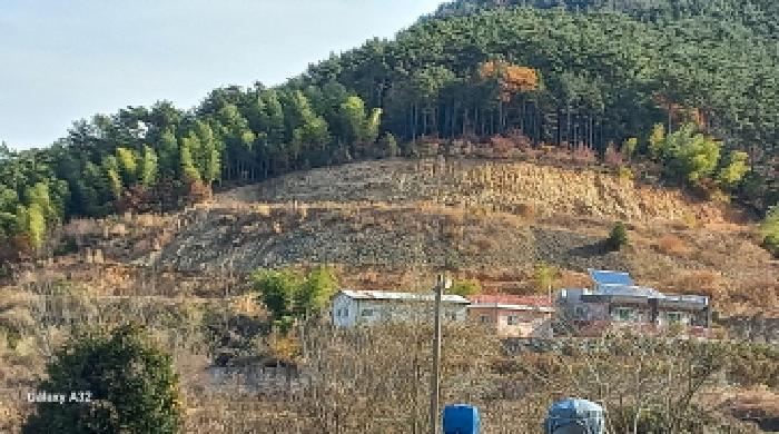 2025타경22293 사진