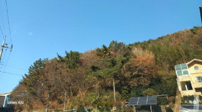 2025타경22324 사진