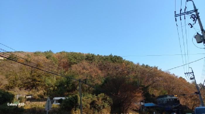 2025타경22324 사진