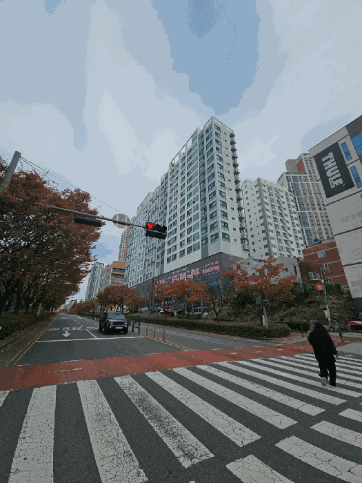 2025타경23024 사진