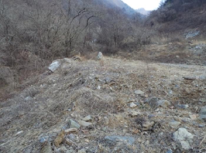 2025타경30142 사진