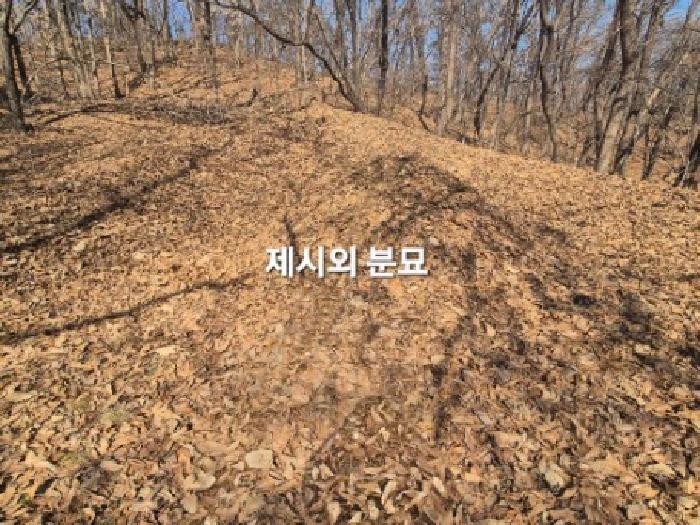 2025타경30217 사진