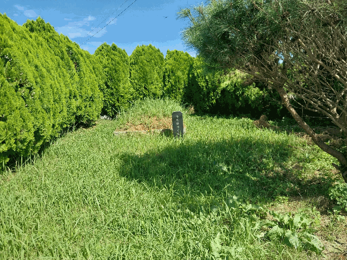 2025타경30415 사진